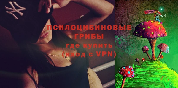 ECSTASY Белокуриха
