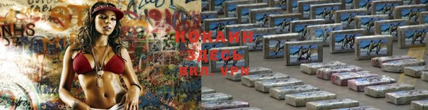 ECSTASY Белокуриха