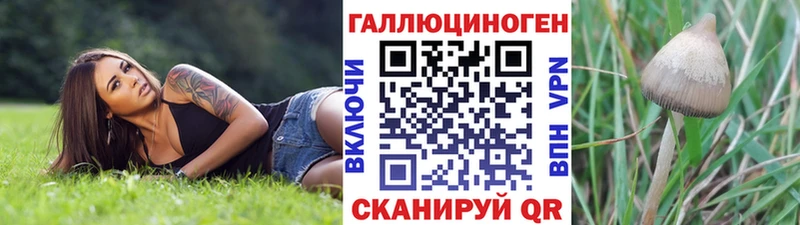 где купить   Козьмодемьянск  Псилоцибиновые грибы мухоморы 